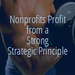 Nonprofits Profit from a Strong Strategic Principle
